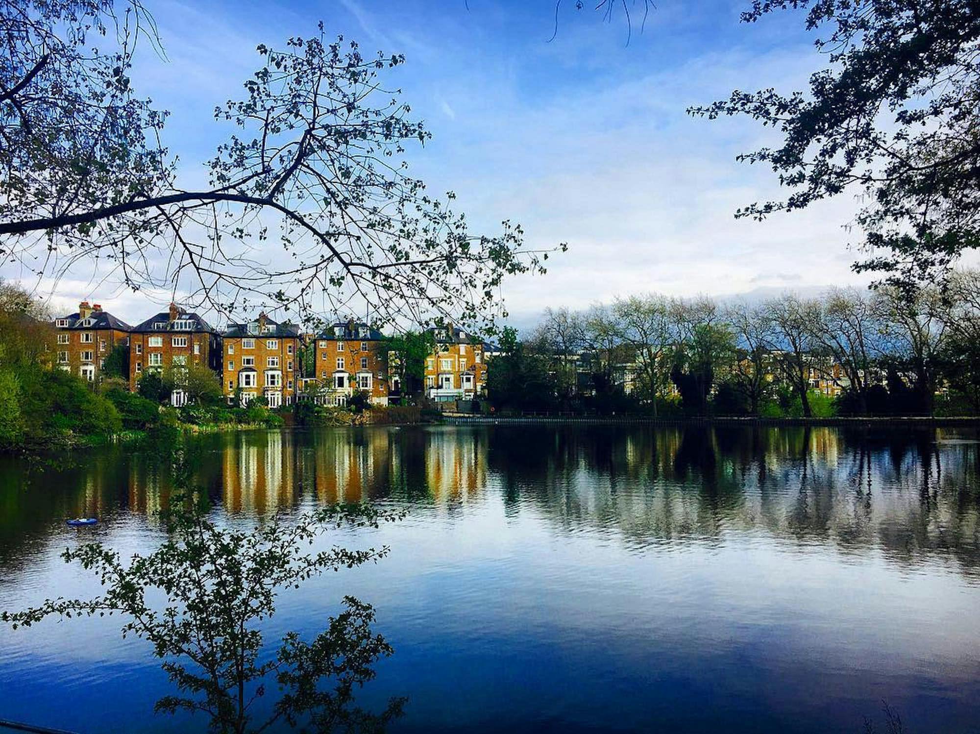hampstead heath london nature lake park